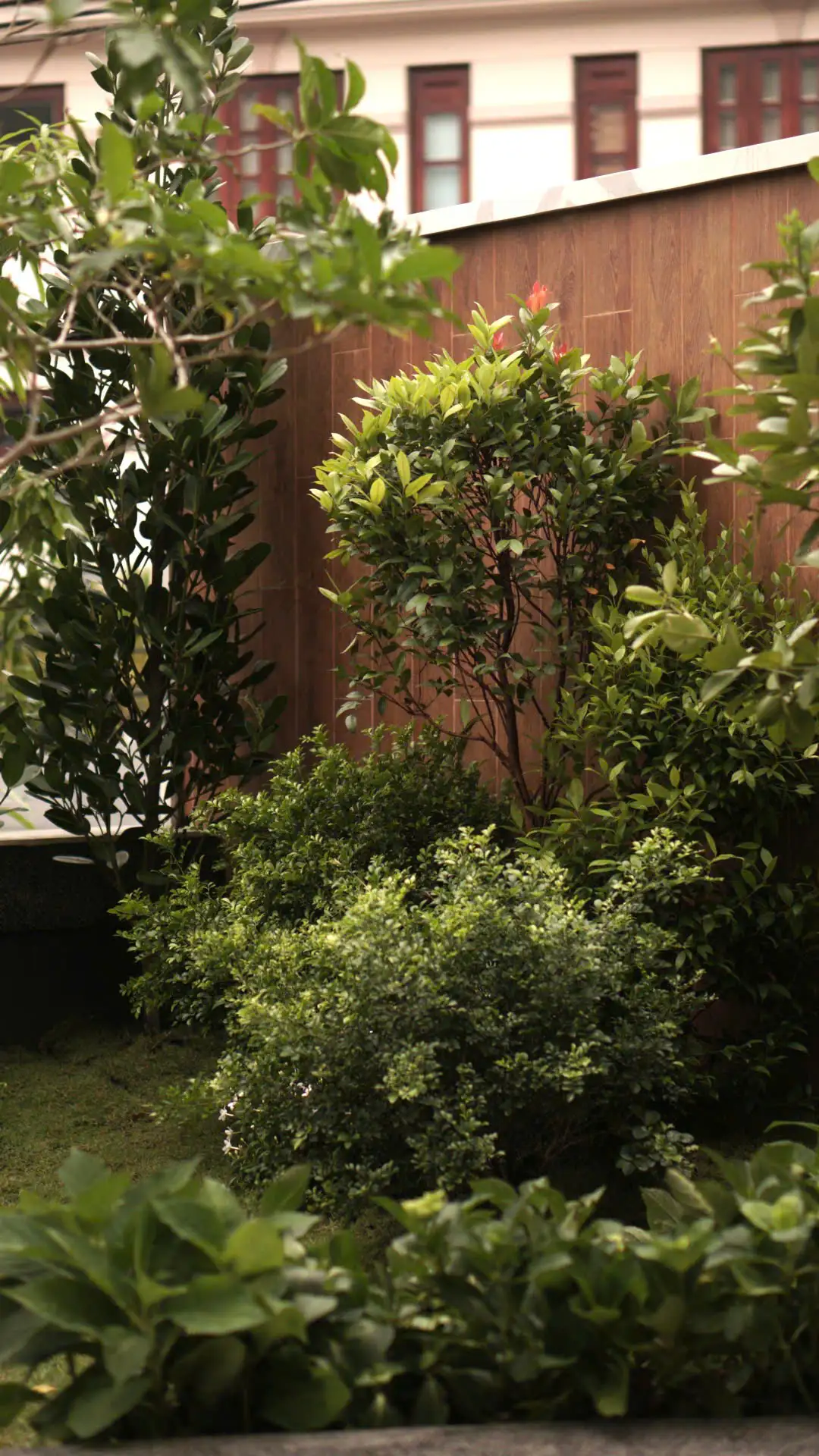 MrSonHouse-HCMC - Image 5