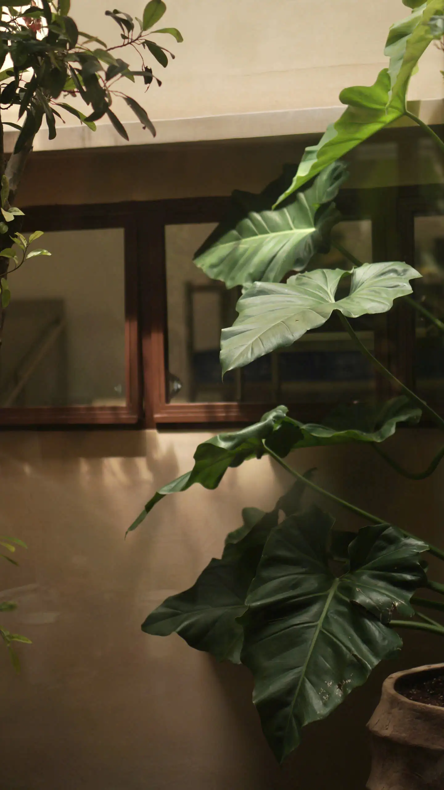 SangaCoffee-BienHoa - Image 6