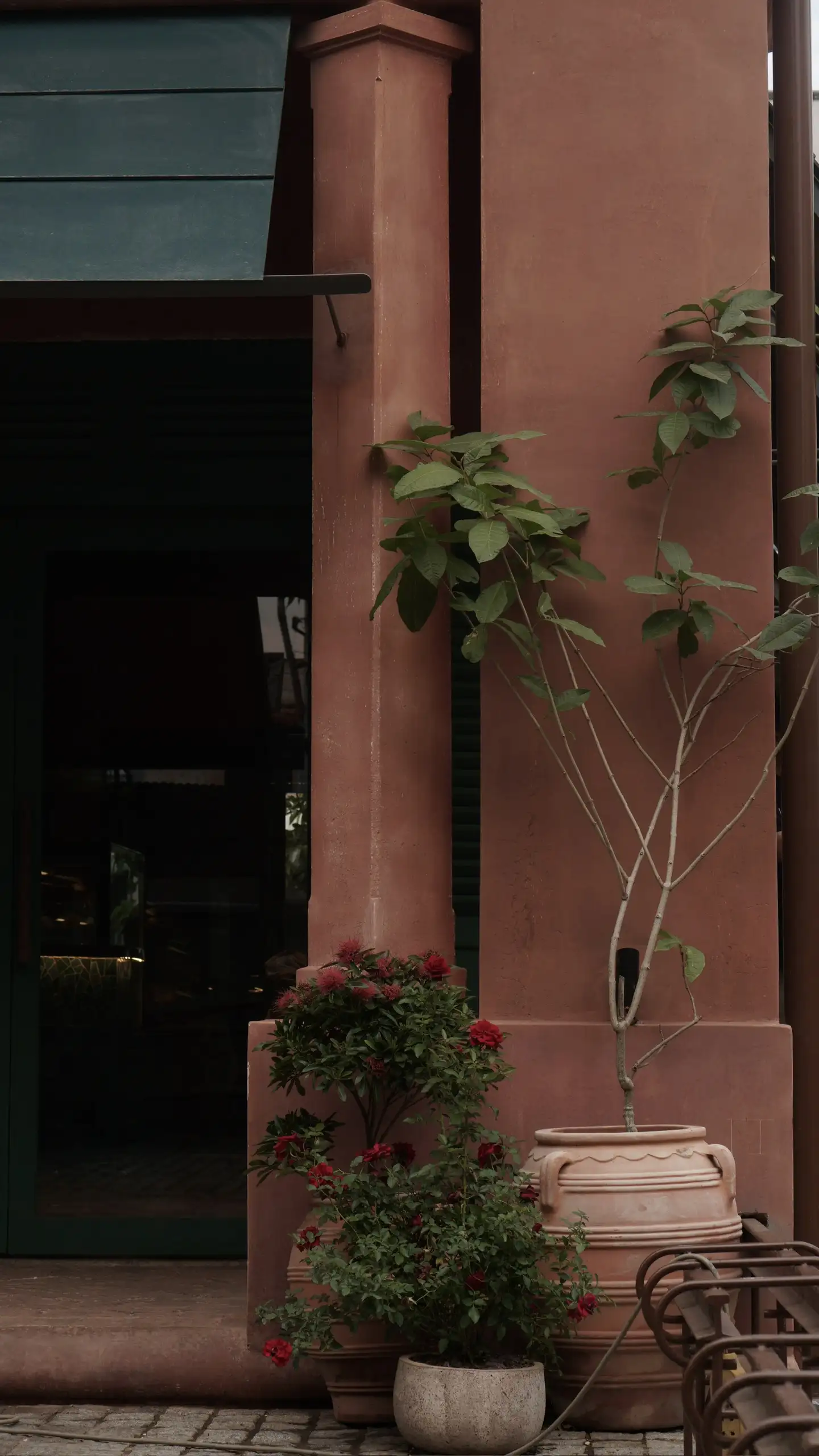 SangaCoffee-BienHoa - Image 8