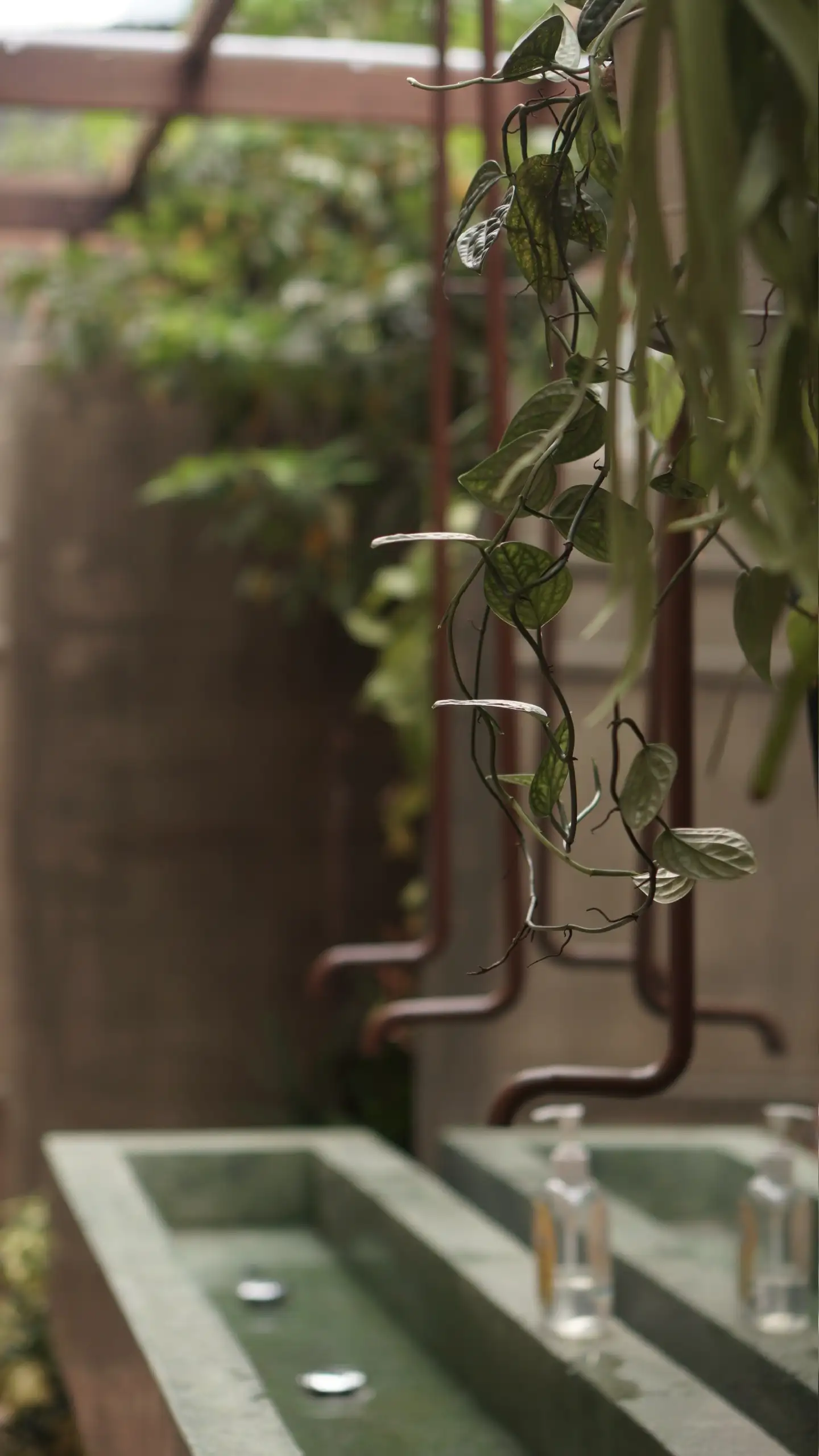 SangaCoffee-BienHoa - Image 19