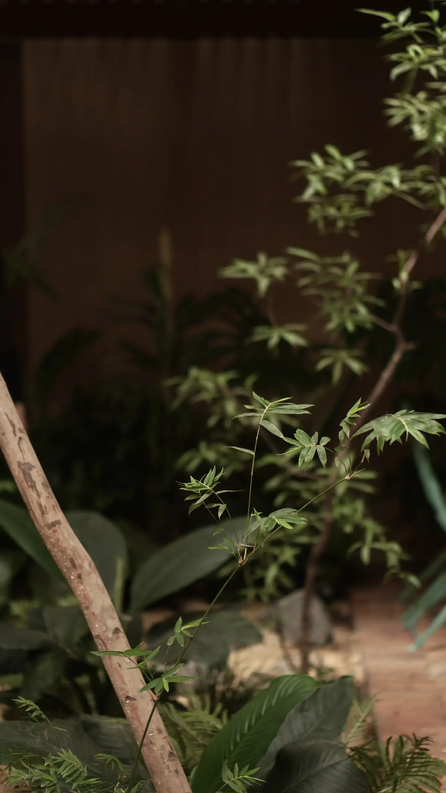 SangaCoffee-BienHoa - Image 23