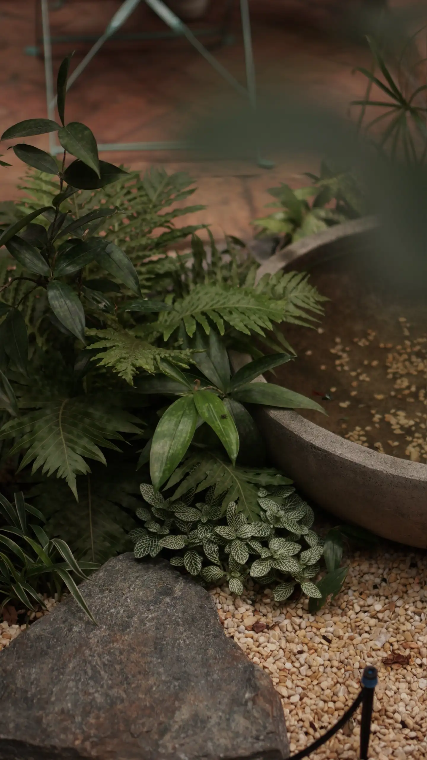SangaCoffee-BienHoa - Image 26