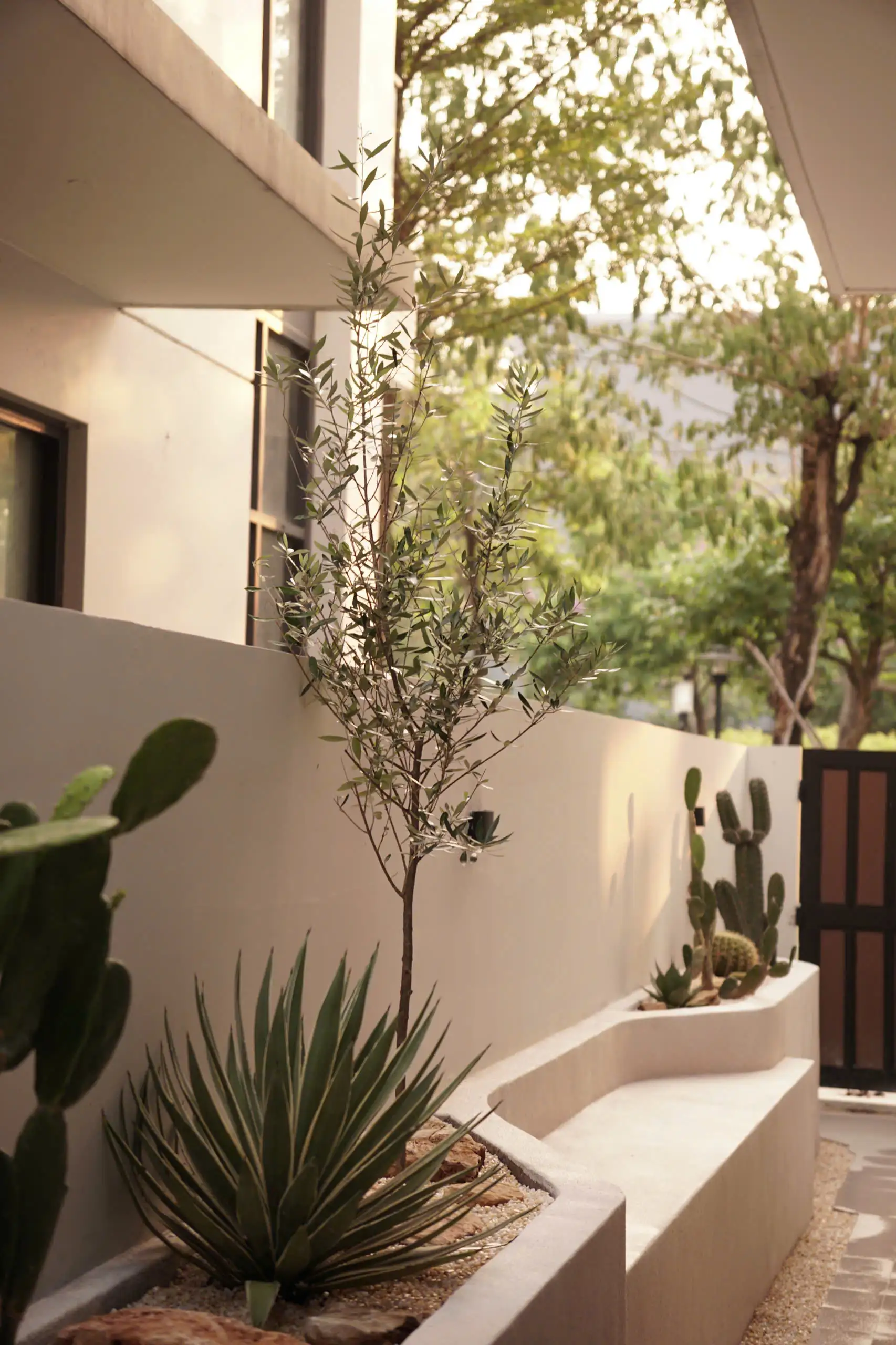 ELAINEHOUSE-BinhDuong-HCMC