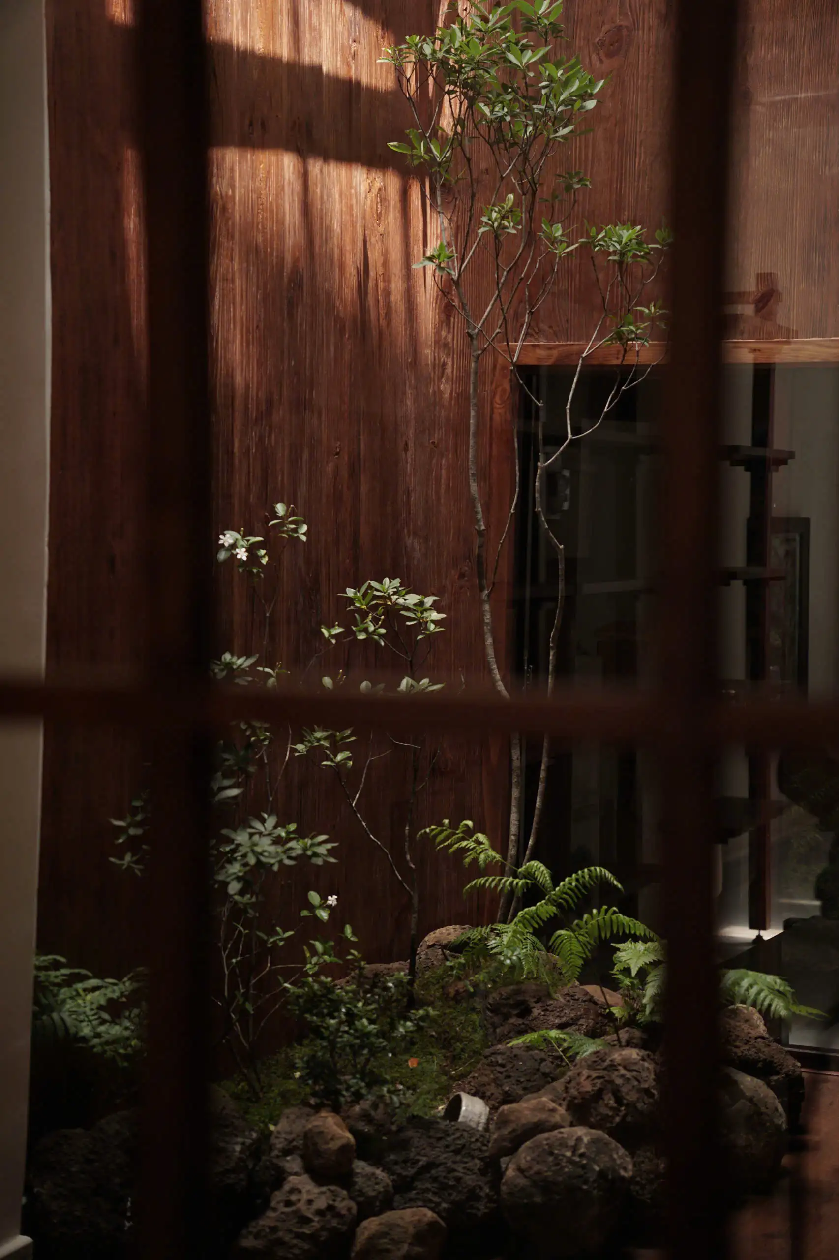 Ichigocha Studio-ThaoDienHCM